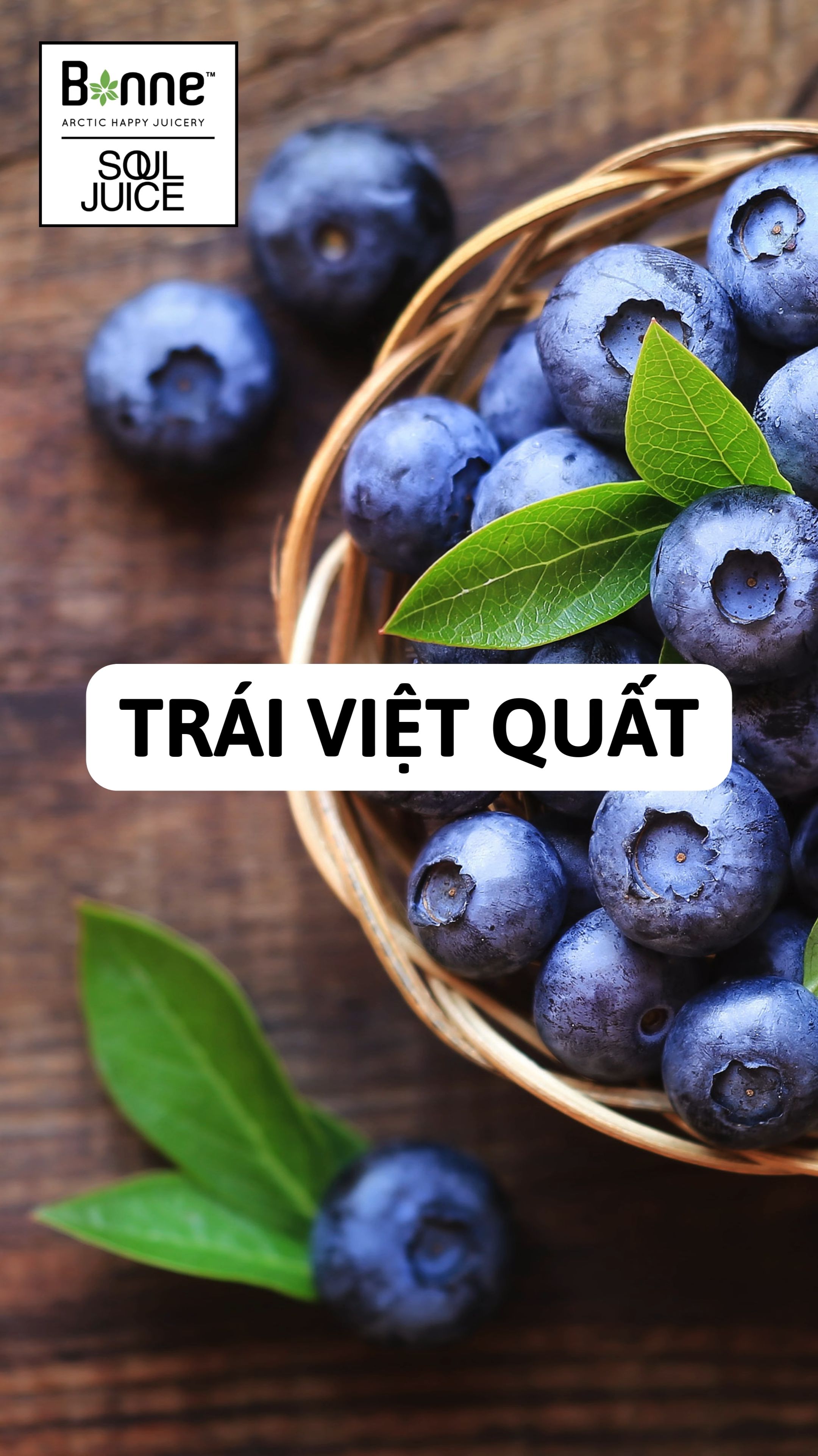 NƯỚC ÉP VIỆT QUẤT - Bonne