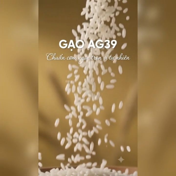 2608- ag39